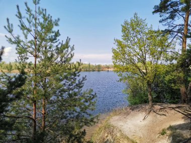 Göl, kıyı manzarası