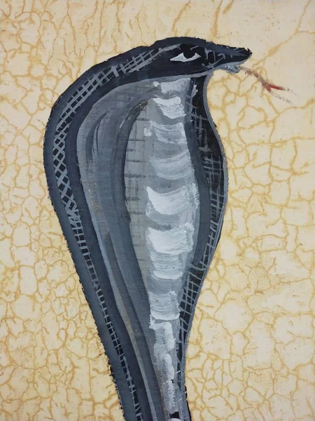 Rajasthan 'daki bir köyün duvarında yılan resimleri var.