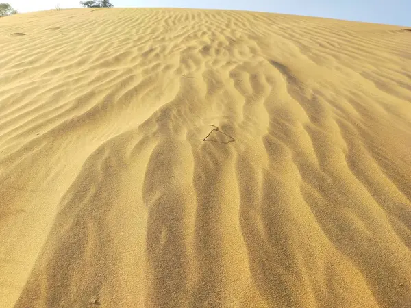 Άποψη Του Κύματος Άμμου Στους Αμμώδεις Αμμόλοφους Του Ρατζαστάν — Φωτογραφία Αρχείου
