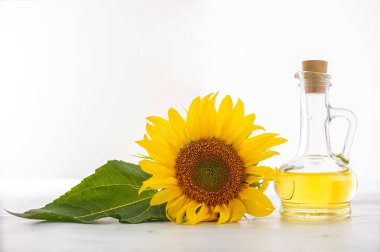 Güzel sarı ayçiçeği ve beyaz arka planda bir şişe ayçiçeği yağı.