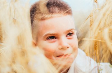 Buğday tarlasında yatan sevimli küçük çocuğun yakın plan görüntüsü. 