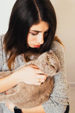 Güzel genç bir kadın sevimli gri kediyle oynuyor.