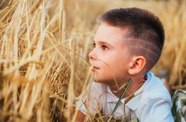 Buğday tarlasında yatan sevimli küçük çocuğun yakın plan görüntüsü. 