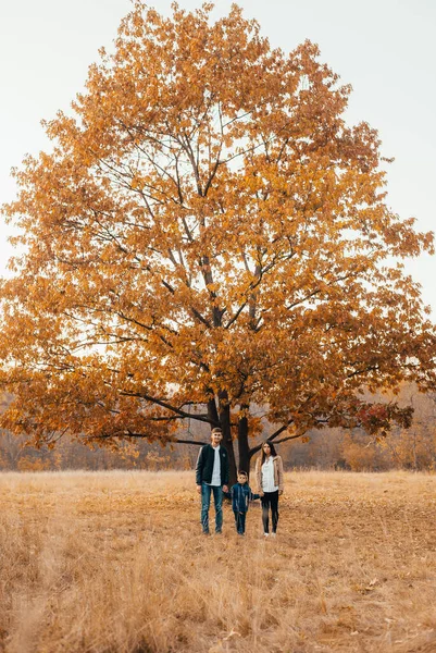 Feliz Jovem Família Com Uma Criança Juntos Mãos Dadas Parque — Fotografia de Stock