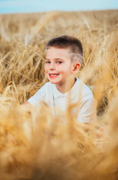 Adorable Niño Sonriente Sentado Campo Trigo Enfoque Selectivo — Foto de Stock