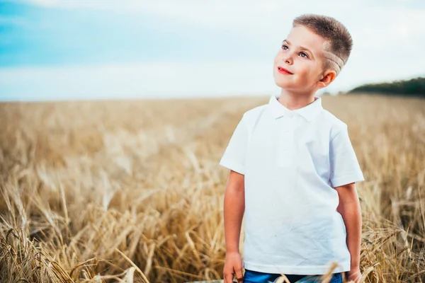 Niño Pensativo Pie Campo Trigo Mirando Lado Espacio Copia — Foto de Stock