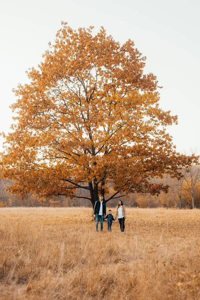 Happy Young Parents Son Standing Together Holding Hands Autumn Park — Stock Photo, Image