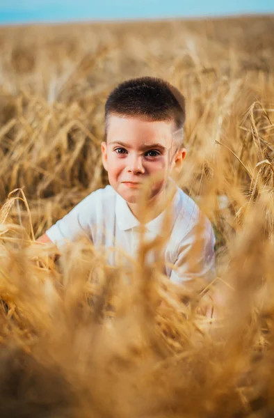 Adorable Niño Sonriente Sentado Campo Trigo Enfoque Selectivo — Foto de Stock