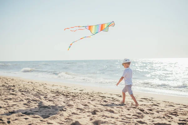 Adorable Dziecko Bawiące Się Kolorowy Latawiec Piaszczystej Plaży Okresie Letnim — Zdjęcie stockowe