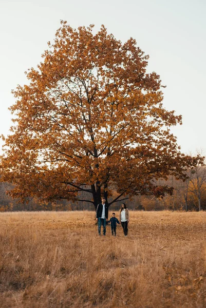 Pais Jovens Felizes Com Filho Juntos Mãos Dadas Parque Outono — Fotografia de Stock