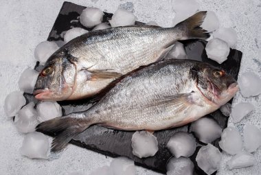 Buz küplü taze çiğ dorado balığının yakın plan görüntüsü