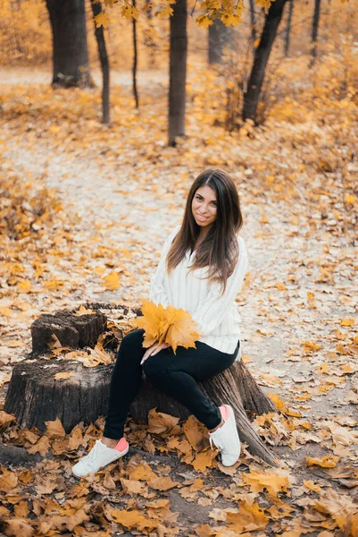 Attractive Young Woman Holding Yellow Leaves Smiling Camera While Sitting — Stockfoto