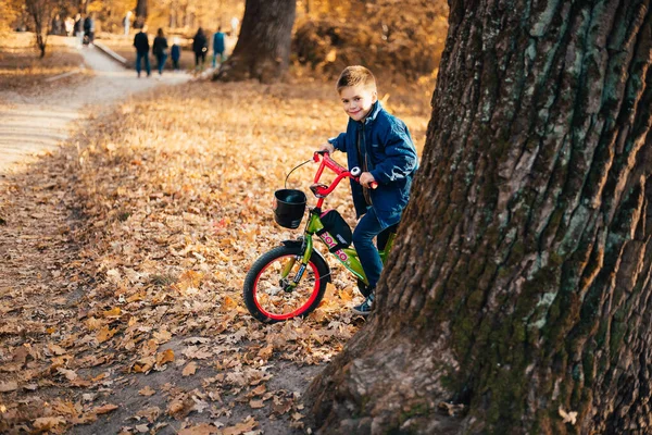 秋の公園で自転車で可愛い男の子 — ストック写真