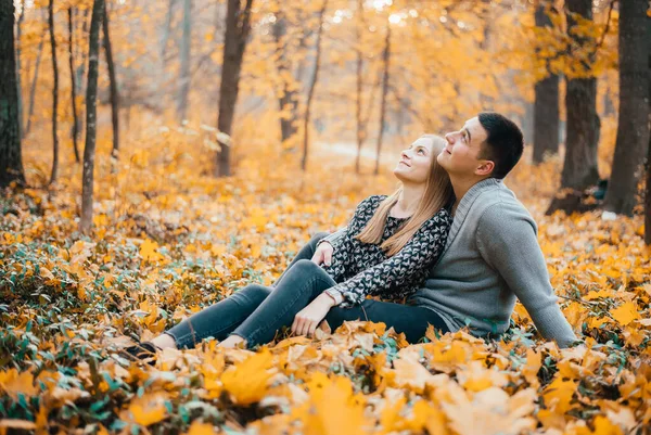 Feliz Jovem Casal Sentado Juntos Folhas Amarelas Floresta Outono — Fotografia de Stock