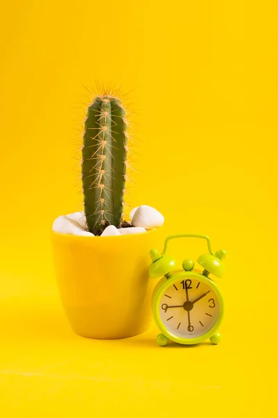 Nahaufnahme Von Wecker Und Kaktus Topf Auf Gelbem Hintergrund — Stockfoto