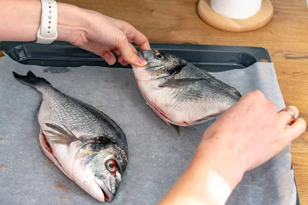 Potret Wanita Memasak Ikan Lezat Baking Tray — Stok Foto