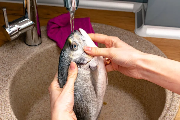 Potret Perempuan Sedang Mencuci Ikan Mentah Segar Wastafel Dapur — Stok Foto