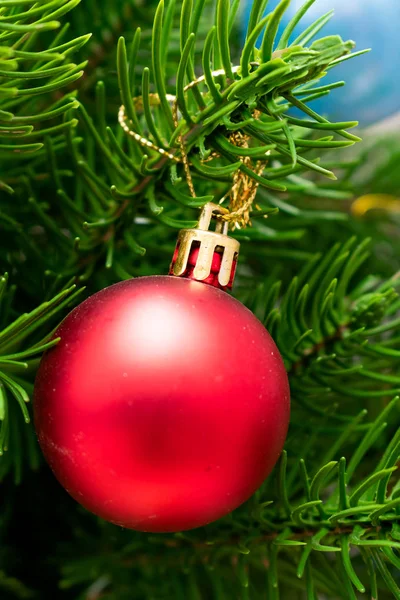 Close View Shiny Red Bauble Hanging Christmas Tree — Stock Photo, Image