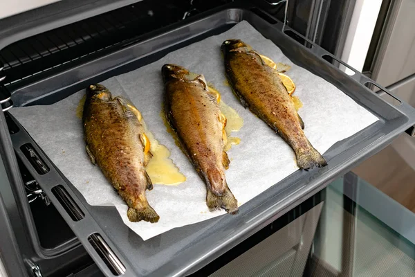 High Angle View Delicious Fish Lemon Slices Cook Baking Tray — Stok Foto