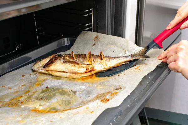 Potret Wanita Memasak Ikan Lezat Dengan Irisan Lemon Dalam Oven — Stok Foto