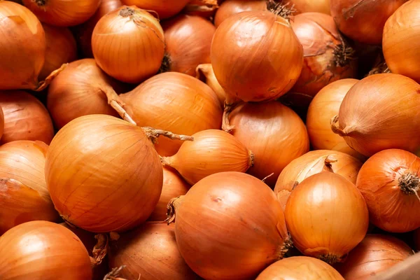 Cebollas Naranjas Frescas Crudas Sobre Mesa Madera — Foto de Stock