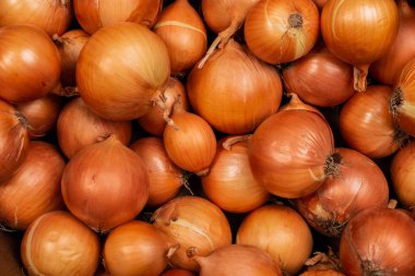 Tahta masada çiğ turuncu soğan.