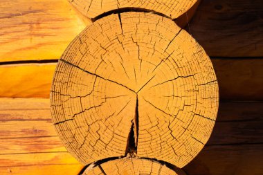 Doğal desenli eski ahşap arka plan 