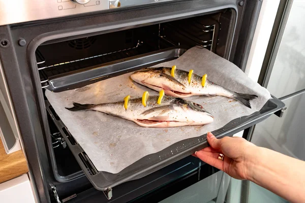 Potret Wanita Memasak Ikan Lezat Dengan Irisan Lemon Dalam Oven — Stok Foto