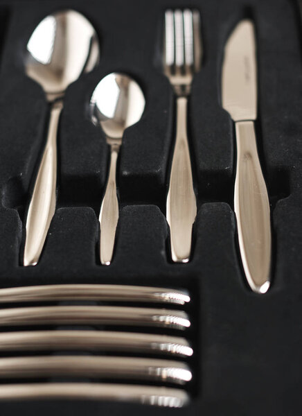 коллекция блестящих столовых приборов в черном контейнере на белом фоне
