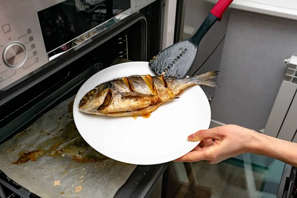 Potret Wanita Memasak Ikan Lezat Dengan Irisan Lemon Dalam Oven — Stok Foto