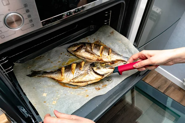 Beskärs Skott Kvinna Matlagning Läcker Fisk Med Citronskivor Ugn — Stockfoto