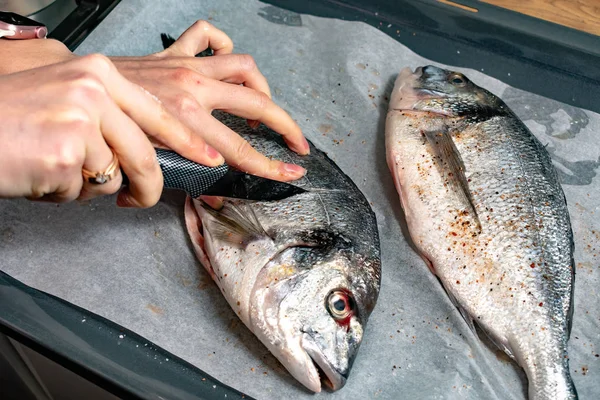 Potret Wanita Memasak Ikan Dengan Rempah Rempah Atas Baking Tray — Stok Foto
