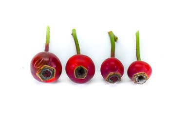 Gül kalçası, meyve veya tohum kapsülleri, en iyi C vitamini kaynağı, portakaldan% 50 daha fazla C vitamini içerir. Çiğ yenebilir ya da suda pişirilebilir.