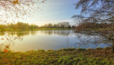 Kışın sakin ve huzurlu göl ve her iki tarafında yaprakları olmayan ağaçlar.