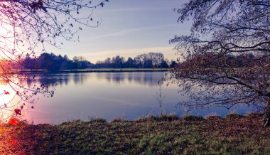 Işık sızıntısı tarzı - Her iki tarafında yaprakları olmayan ağaçlarla kışın sakin ve huzurlu göl