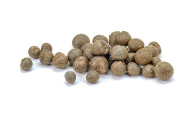 Air Potatoes bulbils, it's a vine fruits (Dioscorea bulbifera) containing the steroid diosgenin clipart