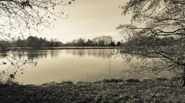 Velho Estilo Quente Sepia Lago Calmo Tranquilo Inverno Com Árvores — Fotografia de Stock