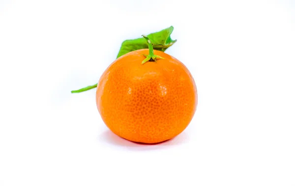 Clementine miniaturale corsicane izolate pe alb — Fotografie, imagine de stoc