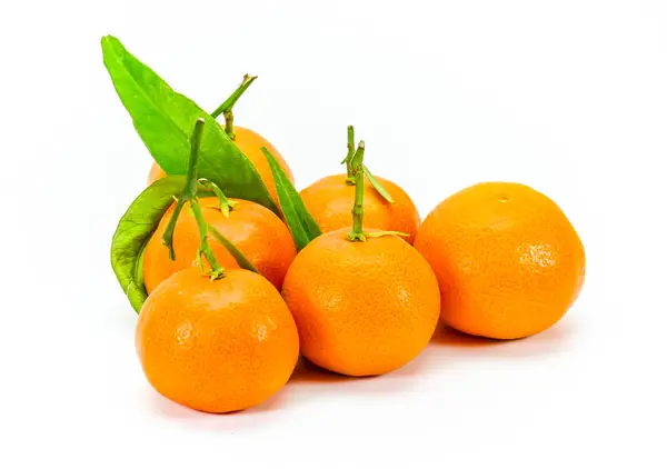 Pequenas Clementinas da Córsega — Fotografia de Stock