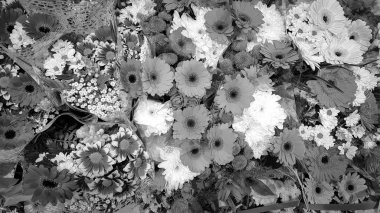 Farklı renkte birçok çiçek çeşidi. Düğün için çiçek aranjmanı, Sevgililer Günü. Arkaplan Siyah ve Beyaz