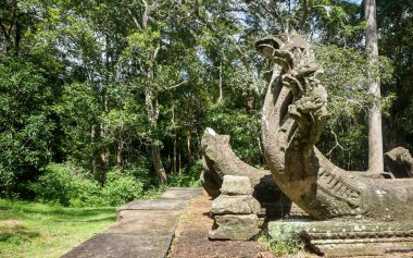 Big seven headed cambodian snake statue (Naga) in temple ruins. Angkor Wat, Siem Reap, Cambodia