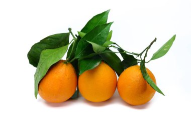 Çok lezzetli ve sulu, Sicilya 'dan taze toplanmış doğal yapraklı Moro Blood Portakalları, organik tarım metoduyla yetiştirilmiş, böcek ilacı olmadan garantilenmiş. beyaz üzerine izole