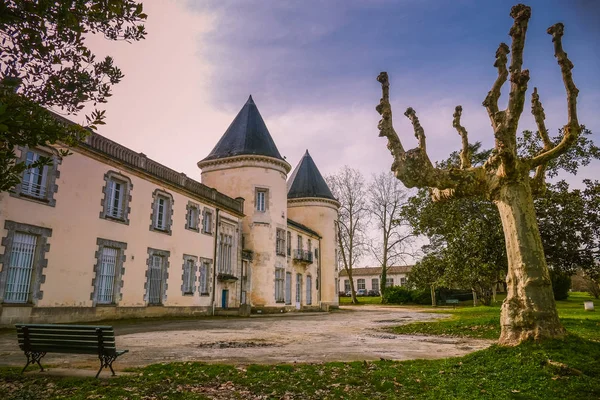 Fransa 'nın güneybatısındaki antik kale şatosu Thouars kışın halk caddesinden izlendi. Vintage renk biçimi. — Stok fotoğraf