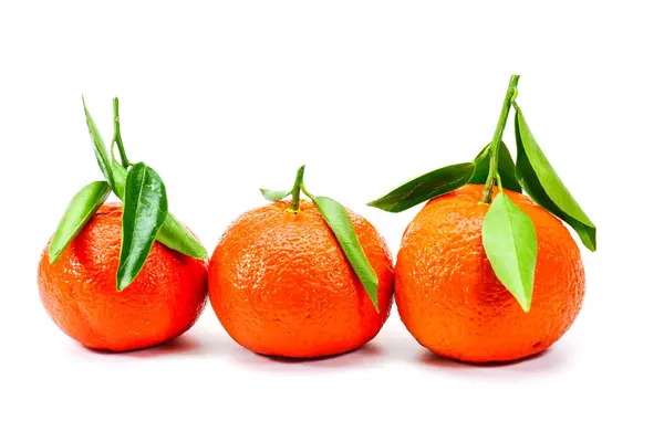 Drie Zeer Vers Geplukte Corsican Clementine Met Bladeren Geïsoleerd Witte — Stockfoto