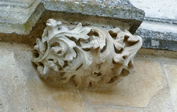 Detalles arquitectónicos de primer plano del antiguo castillo histórico o castillo en Francia planta, hojas, frutas esculturas —  Fotos de Stock