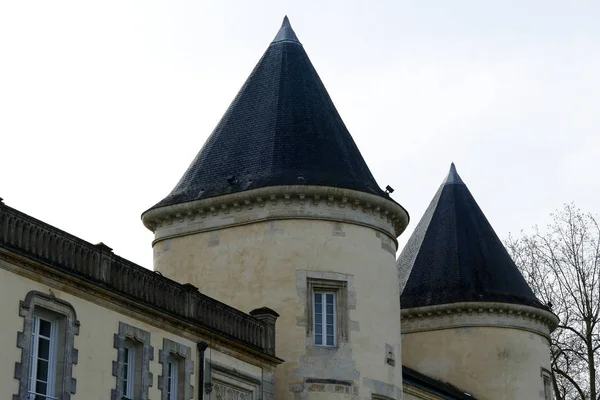 Zbliżenie szczegółów architektonicznych starożytnego zamku lub zamku we Francji - okrągłe formy wież — Zdjęcie stockowe