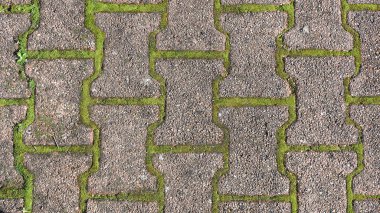 Yosun, ot ya da yabani otlarla kaplı asfalt dokusu. Metin için boş alanı olan arkaplan.