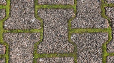 Yosun, ot ya da yabani otlarla kaplı asfalt dokusu. Metin için boş alanı olan arkaplan.