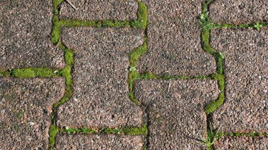 Yosun, ot ya da yabani otlarla kaplı asfalt dokusu. Metin için boş alanı olan arkaplan.