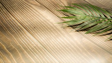 Eski ahşap masa zemininde, kompozisyonun için ücretsiz metin alanı olan avuç içi hindistan cevizi yaprağı.